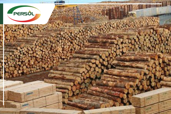 بزرگترین صادر کننده چوب جهان